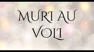 Muri Au Voli  Mission Praise Team Cover Lyric Video [upl. by Atinnek757]