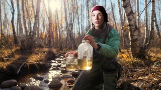 Katya extracts birch sap in the forest ONE DAY IN A UKRAINIAN VILLAGE [upl. by Amla]