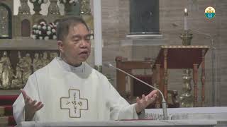 Cathedral Homilies  November 15 Msgr Rolly [upl. by Warrenne397]