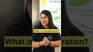 What is transpiration  science transpiration biology education AnshiClasses Shorts [upl. by Bruell]