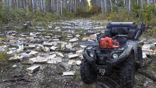 Bushcamp  My New Chainsaw Cutting Next Years Firewood [upl. by Gillmore]