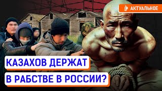 Казахов заставляли работать на свиноферме Сколько казахстанцев в трудовом рабстве в России [upl. by Urbanus]