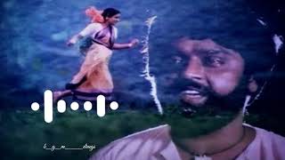 Vaithegi kathirunthal  Rasathi Unna kaanatha nenji bgm  bgm drugs  Illayaraja bgm [upl. by Anailli]