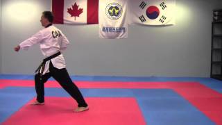 Poomsae 3  Taegeuk Sam Jang [upl. by Soloman164]