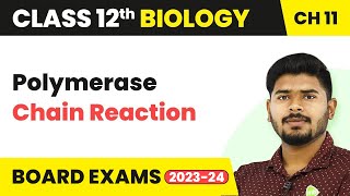 Polymerase Chain Reaction  Biotechnology Principles and Processes  Class 12 Biology 202223 [upl. by Airitac175]