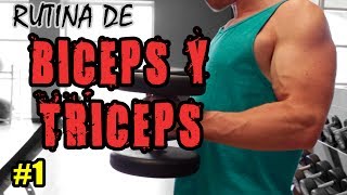 Hipertrofia Antagonista  Entrena Biceps y Triceps con LSF [upl. by Careaga291]