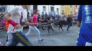 Fiestas San Mateo Cuenca [upl. by Adnohrahs]