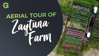 Take an aerial tour of Zaytuna Farm [upl. by Anauj]