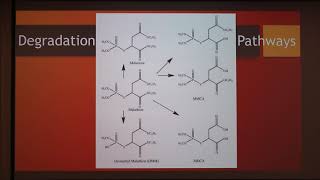 Malathion used against ectoparasites [upl. by Phylys258]