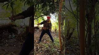 Tree cuttings men youtubeshorts treecuttingservice ytshorts viralshorts shorts [upl. by Guglielmo]