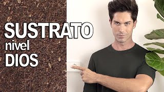 🌿 COMO preparar el MEJOR SUSTRATO para PLANTAS de INTERIOR y SUCULENTASPasa al siguiente nivel💚 [upl. by Riannon]