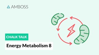 Energy Metabolism  Part 8 Anaerobic vs Aerobic Metabolism [upl. by Lilly]