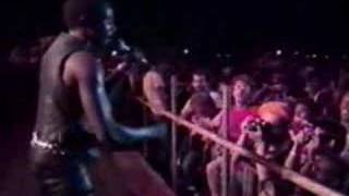 Toots amp The Maytals  Reggae Sunsplash 1982 [upl. by Granese479]