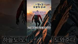 11월4일운세 오늘의운세 띠별운세 11월4일운세 [upl. by Moht]