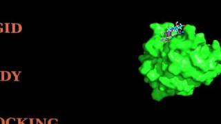 Proteinoligosaccharide HADDOCKing [upl. by Traggat]