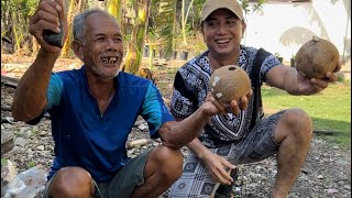 HOW SIBUTU DEHUSKED COCONUT TAWITAWI PHILIPPINES [upl. by Alleuqram387]