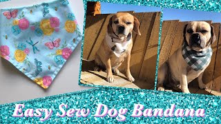 Easy Sew Dog Bandana Tutorial For Beginners [upl. by Larena]