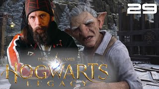 LODGOKS REQUEST  BLIND Playthrough  Hogwarts Legacy Episode 29 [upl. by Seditsira411]