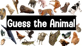 Guess the Animal Sound Game  30 Animal Sounds Quiz  Wildlife Trivia [upl. by Niltac]