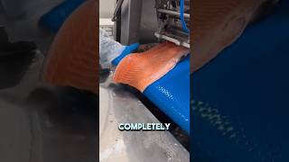 Advanced Salmon Bone Removal Process [upl. by Hopfinger]