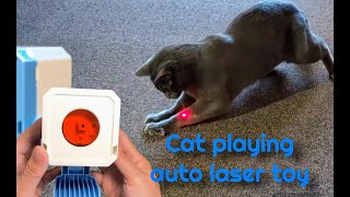 My Cat Went CRAZY Over This Laser Toy ad [upl. by Fabiolas43]