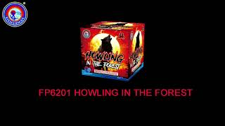 500 gram cakes fireworks 25 shots cakes Howling in the forest FP6201 from Fisherman Fireworks [upl. by Phonsa]