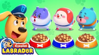 🔍Sheriff Labrador  Adopción de Mascotas 🐹  Videos para Niños  BabyBus en Español [upl. by Chitkara]