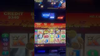 Mr Cashman African Dusk🦏🦓🦒Bonus Video slotmachinebonus [upl. by Neelyaj361]