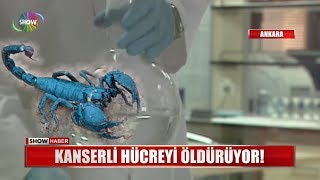 Kanserli hücreyi öldürüyor [upl. by Fokos]