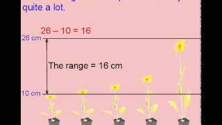 D5 Mode Median and Range [upl. by Meredithe]