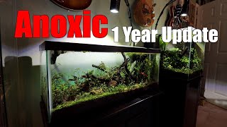 Anoxic Filter 1 Year Update [upl. by Ainaled827]