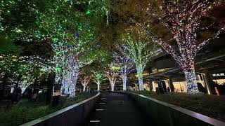 ROPPONGI HILLS illuminated for Christmas celebration accompanied by beautiful Red Tokyo Tower [upl. by Marjorie]