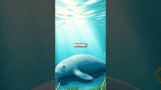 The Hidden Life of the Manatee Gentle Giants of the Water [upl. by Kingsly]