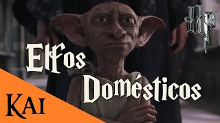 Los Elfos Domésticos de Harry Potter  Kai47 [upl. by Fechter]