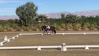 Don Snow EQ ☆ 768 Training Level Test 2 — Desert Dressage III [upl. by Lazos]