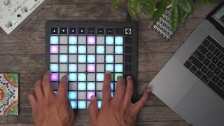 Notes and Scales Mode  Launchpad X  Novation [upl. by Eillim]