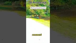 Bahut hi purana pipal ka PED bollywood YouTube channel [upl. by Mezoff169]