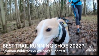 Salomon Wildcross 2022 vs Whippet Canicross [upl. by Llehctim]