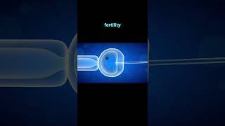 quotIVF vs Artificial Insemination  Whats the Differencequot [upl. by Gombach]