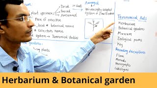 Taxonomical Aids  Herbarium and Botanical Gardens [upl. by Ahsiym688]