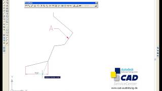 AutoCAD  schnell sauber und genau Bemaßungen eintragen [upl. by Godiva]