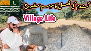 Village Life video 2024 Wheat harvest season beginsDadyal ajk Israr ahmed official [upl. by Ellswerth]