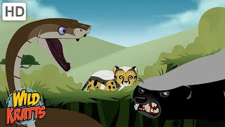 Creature Battles  Every Creature Showdown Part 113 Wild Kratts [upl. by Aidin]