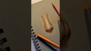 How to draw realistic nosetutorial drawing art shorts realistic [upl. by Nwahsal]