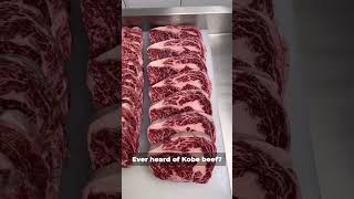 Why Japanese Wagyu Beef is So Expensive [upl. by Sille]