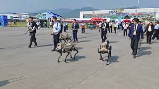 Deadly pets Zhuhai Airshow [upl. by Camroc]