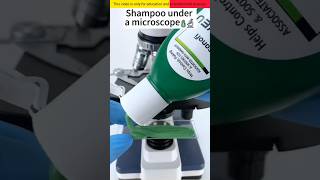 Shampoo 🧴 microscope se kaisa dikhta hai 😱🔬 Shorts ytshorts facts [upl. by Akinat148]