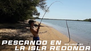 UNA PESCA 10 PUNTOS DE TODO UN POCO EN RIO URUGUAY [upl. by Bowman]