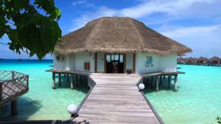 One Day on the Maldives Safari Island  4K [upl. by Shoemaker]