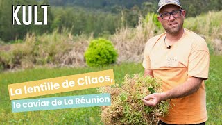 La lentille de Cilaos le caviar de La Réunion [upl. by Ydnerb]